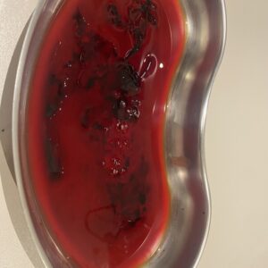 ADERLASS WEBINAR! BEGINN: 02.04.2025 Anmeldung: ZfN-München